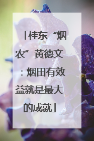 桂东“烟农”黄德文：烟田有效益就是最大的成就