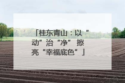 桂东青山：以“动”治“净” 擦亮“幸福底色”