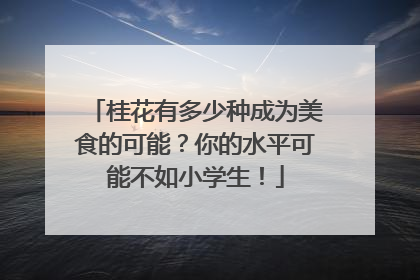 桂花有多少种成为美食的可能？你的水平可能不如小学生！