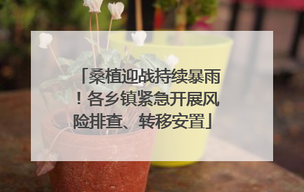 桑植迎战持续暴雨！各乡镇紧急开展风险排查、转移安置