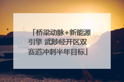 桥梁动脉+新能源引擎 武陟经开区双赛道冲刺半年目标
