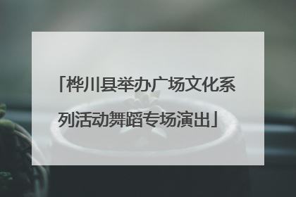 桦川县举办广场文化系列活动舞蹈专场演出