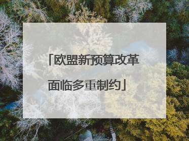 欧盟新预算改革面临多重制约