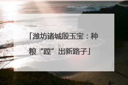 潍坊诸城殷玉宝：种粮“蹚”出新路子