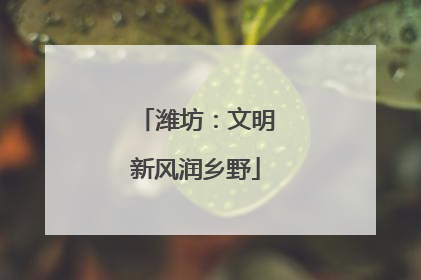 潍坊：文明新风润乡野