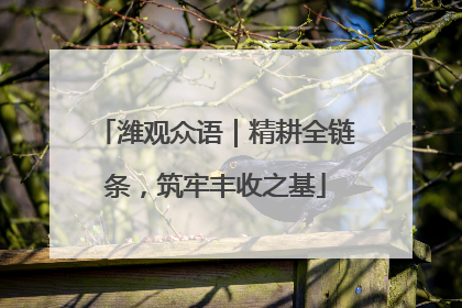 潍观众语｜精耕全链条，筑牢丰收之基