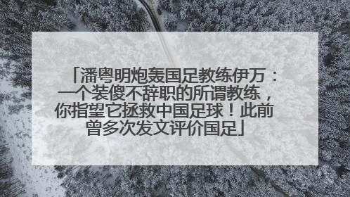 潘粤明炮轰国足教练伊万：一个装傻不辞职的所谓教练，你指望它拯救中国足球！此前曾多次发文评价国足