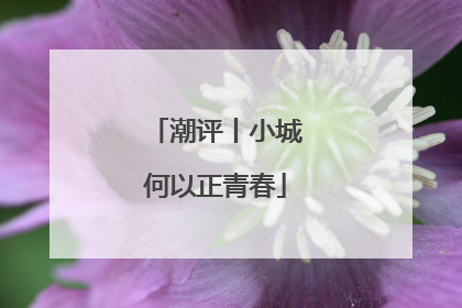 潮评丨小城何以正青春