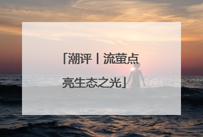 潮评丨流萤点亮生态之光