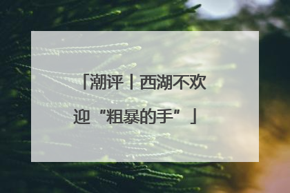 潮评丨西湖不欢迎“粗暴的手”