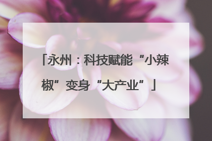 永州：科技赋能“小辣椒”变身“大产业”