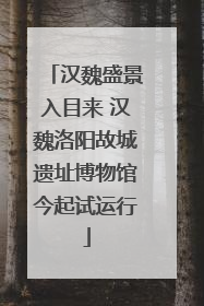 汉魏盛景入目来 汉魏洛阳故城遗址博物馆今起试运行