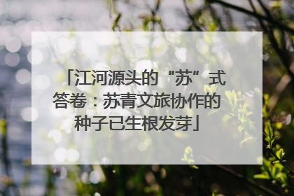 江河源头的“苏”式答卷：苏青文旅协作的种子已生根发芽
