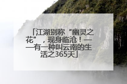 江湖别称“幽灵之花”，现身临沧！——有一种叫云南的生活之365天