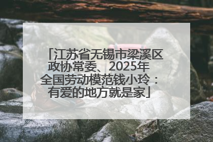 江苏省无锡市梁溪区政协常委、2025年全国劳动模范钱小玲：有爱的地方就是家