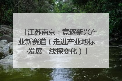 江苏南京：竞逐新兴产业新赛道（走进产业地标·发展一线探变化）