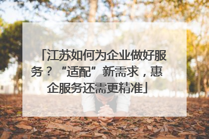 江苏如何为企业做好服务？“适配”新需求，惠企服务还需更精准