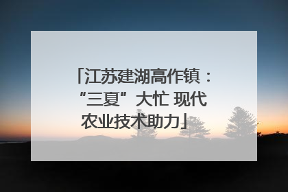 江苏建湖高作镇：“三夏”大忙 现代农业技术助力