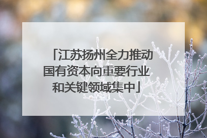 江苏扬州全力推动国有资本向重要行业和关键领域集中