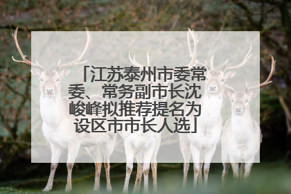 江苏泰州市委常委、常务副市长沈峻峰拟推荐提名为设区市市长人选