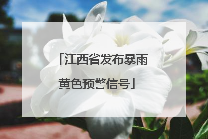 江西省发布暴雨黄色预警信号
