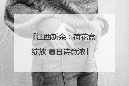 江西新余：荷花竞绽放 夏日诗意浓
