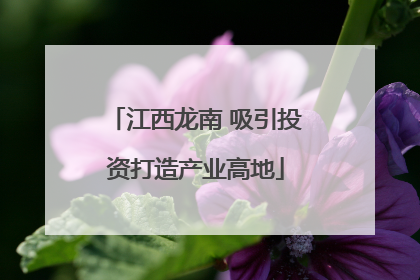 江西龙南 吸引投资打造产业高地