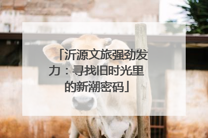 沂源文旅强劲发力：寻找旧时光里的新潮密码