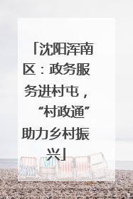 沈阳浑南区：政务服务进村屯，“村政通”助力乡村振兴