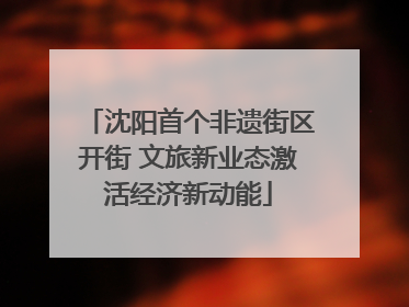 沈阳首个非遗街区开街 文旅新业态激活经济新动能