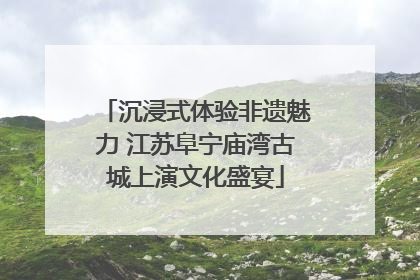 沉浸式体验非遗魅力 江苏阜宁庙湾古城上演文化盛宴