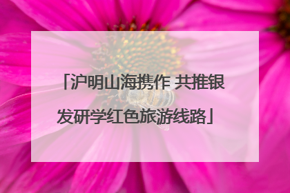 沪明山海携作 共推银发研学红色旅游线路