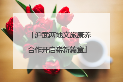 沪武两地文旅康养合作开启崭新篇章