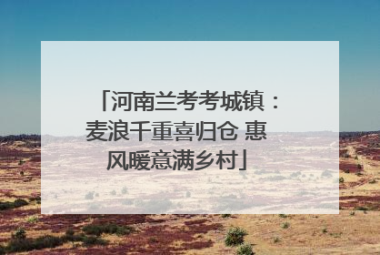 河南兰考考城镇：麦浪千重喜归仓 惠风暖意满乡村