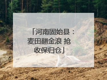 河南固始县：麦田翻金浪 抢收保归仓