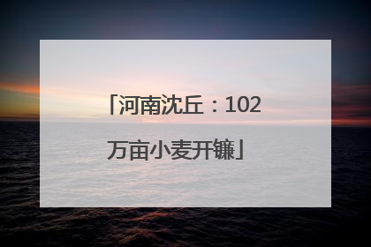 河南沈丘：102 万亩小麦开镰