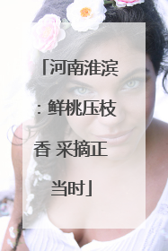 河南淮滨：鲜桃压枝香 采摘正当时