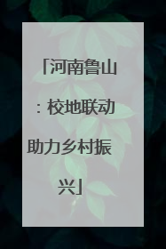 河南鲁山：校地联动助力乡村振兴