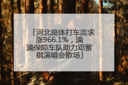 河北奥体打车需求涨966.1%，滴滴保障车队助力邓紫棋演唱会散场