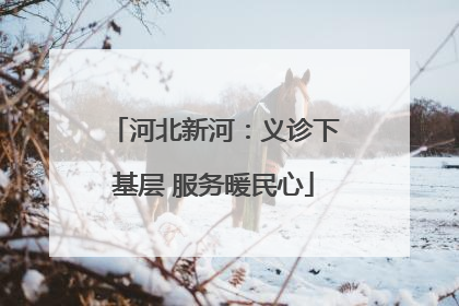 河北新河：义诊下基层 服务暖民心