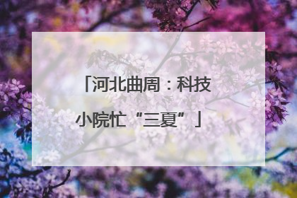 河北曲周：科技小院忙“三夏”