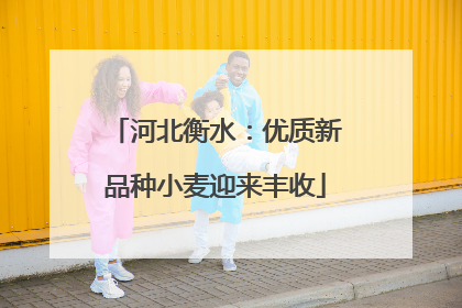 河北衡水：优质新品种小麦迎来丰收