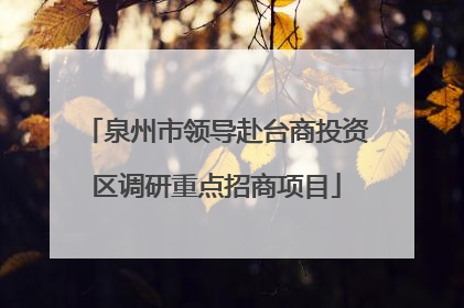 泉州市领导赴台商投资区调研重点招商项目