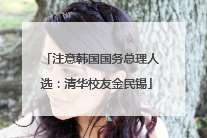 注意韩国国务总理人选：清华校友金民锡