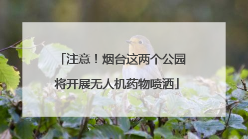 注意！烟台这两个公园将开展无人机药物喷洒
