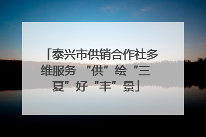 泰兴市供销合作社多维服务 “供”绘“三夏”好“丰”景