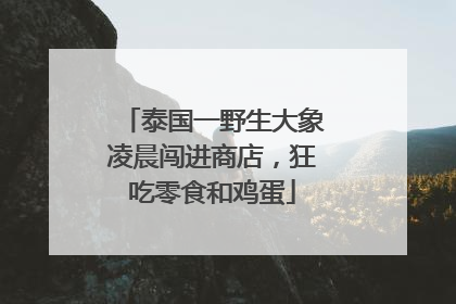 泰国一野生大象凌晨闯进商店，狂吃零食和鸡蛋
