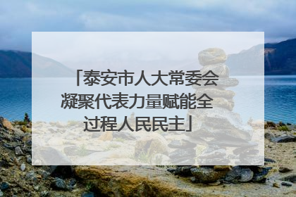 泰安市人大常委会凝聚代表力量赋能全过程人民民主