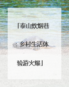 泰山炊烟巷：乡村生活体验游火爆