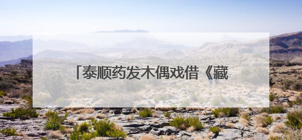 泰顺药发木偶戏借《藏海传》再入大众视野